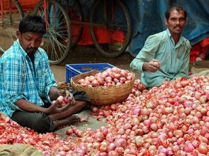 Onion Prices decreased in MP