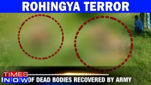 SC Needless & Wrong Sympathy For Rohingyas Muslims... Accused of Terror