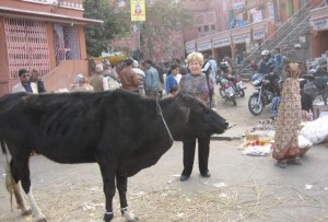 One Firang's Odd Reasons To Visit India... You Decide