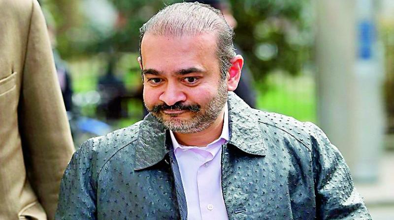 nirav modi s defence team even uses his pet dog in attempt to win bail