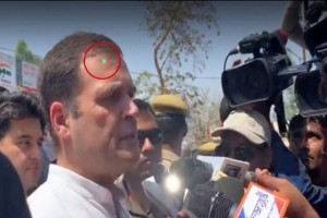 congress claims laser light on rahul gandhi a security scare, spg blames aicc photographer