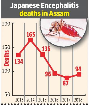 Japanese Encephalitis In Assam Death Toll Increased In 24 Hours