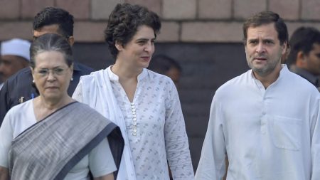 Priyanka Gandhi Vadra Assigned Chief Can Strongly Uphold Congress Party