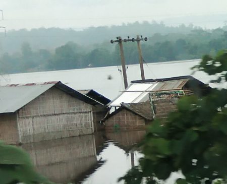 Kaziranga National Park Situation Worsens Due To Monsoon Water