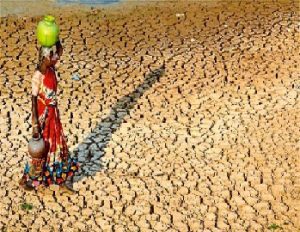 50 Lakh Hectares Degraded Land To Recover In Next 10 Years By India Government