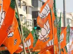 BJP Releases Assembly Polls Lists To Contest On 21 October