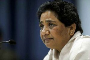 BSP Announces 41 Candidates To Participate In Haryana Assembly Polls