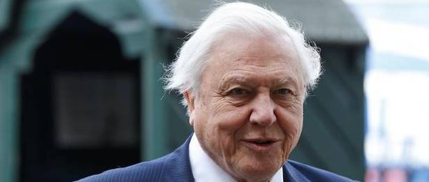 Naturalist David Attenborough Honored With Indira Gandhi Prize For Peace 2019