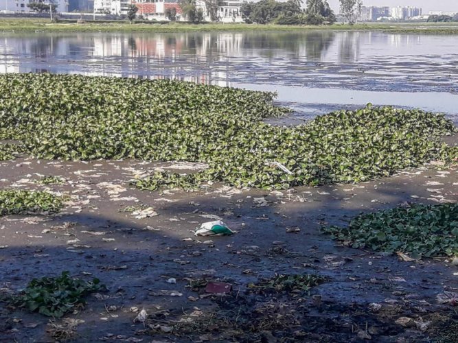 NGT Orders Karnataka Government To Deposit Rs. 100 Crore As Fails To Check Pollution Of Balandur Lake Bengaluru.