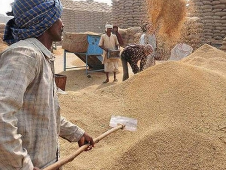India expands its cereals exports footprints through shipping rice, wheat and other cereals to newer destinations