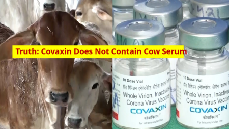 No, Covaxin Does Not Contain Cow