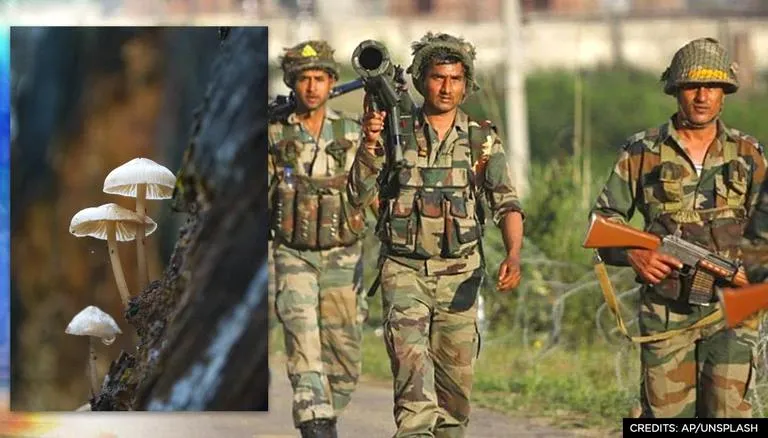 Indian Army Trains Locals On Mushroom Farming In Remote Areas Of Jammu And Kashmir