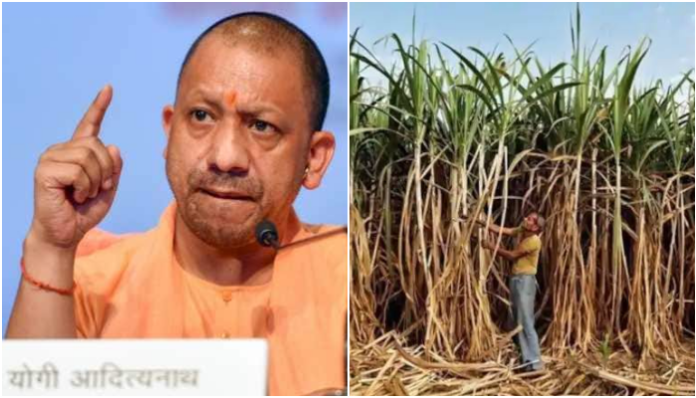 Yogi Government In Uttar Pradesh Clears 75% Sugarcane Dues, Pays Over Rs.26,000 Crores To Farmers
