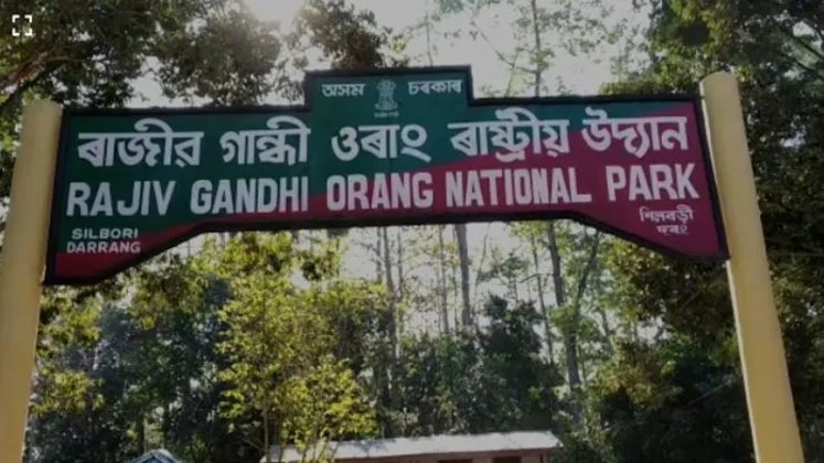After Khel Ratna, Rajiv Gandhi Loses National Park In Assam, Himanta Biswa Sarma Govt Drops His Name From Orang National Park