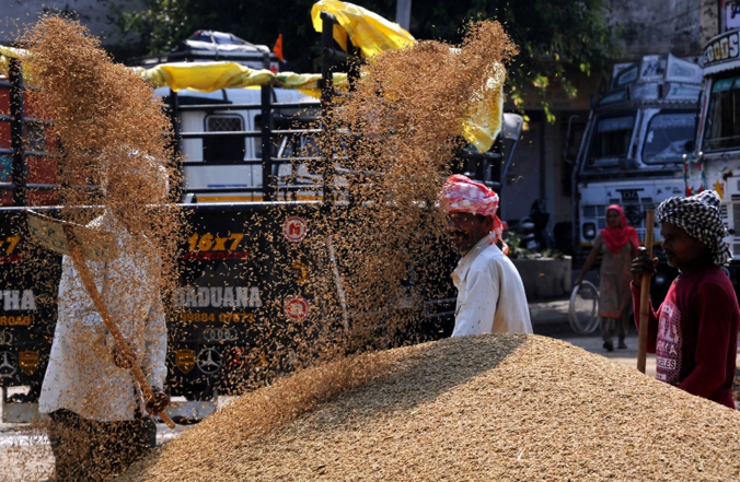 Nearly 30,000 Farmers Benefitted From Paddy Procurement Under KMS 2021-22 So Far