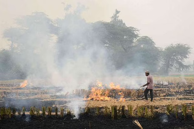 Yogi Adityanath Government Shows The Way To Tackle Stubble Burning, Launches 'Barter Scheme' To Benefit Paddy Farmers