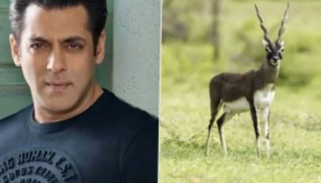 Youths From Bishnoi Community In Rajasthan To Build A Memorial For Black Bucks Killed By Salman Khan: Read Why They Consider The Deer Sacred