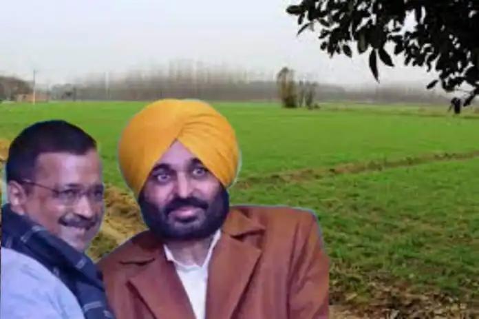 What?? 40 Acres Of Wheat Fields Being Cleared For Building Parking Lot For AAP CM Designate Bhagwant Mann’s Oath-taking Ceremony: Report