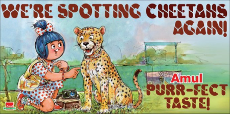 Amul