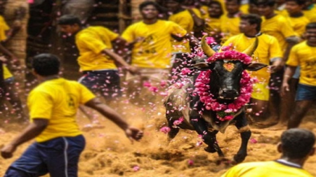 Vibhuti kumkum