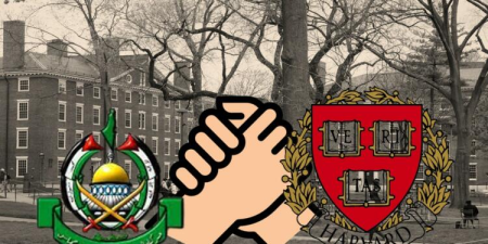 Harvard Boycott