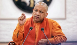 Yogi Popularity