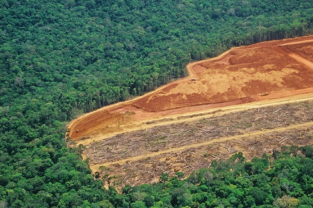Amazon Rainforest