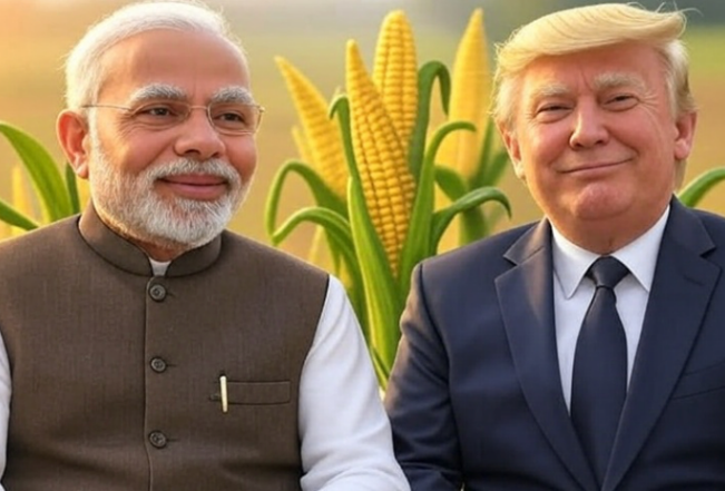 Corn USA